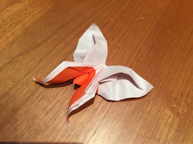 蝴蝶折纸教程 第57步