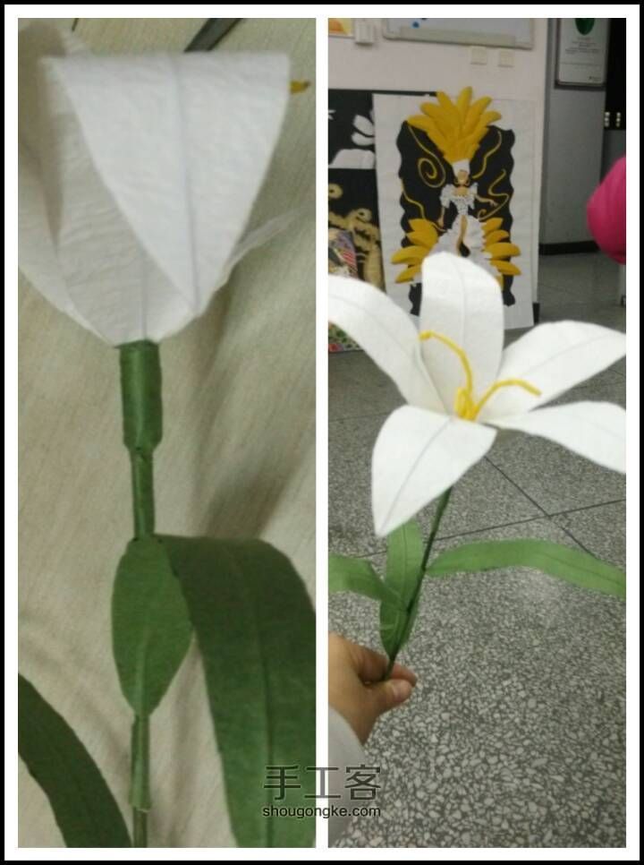 纯真的百合花（阿梦第一次发教程^_^） 第8步