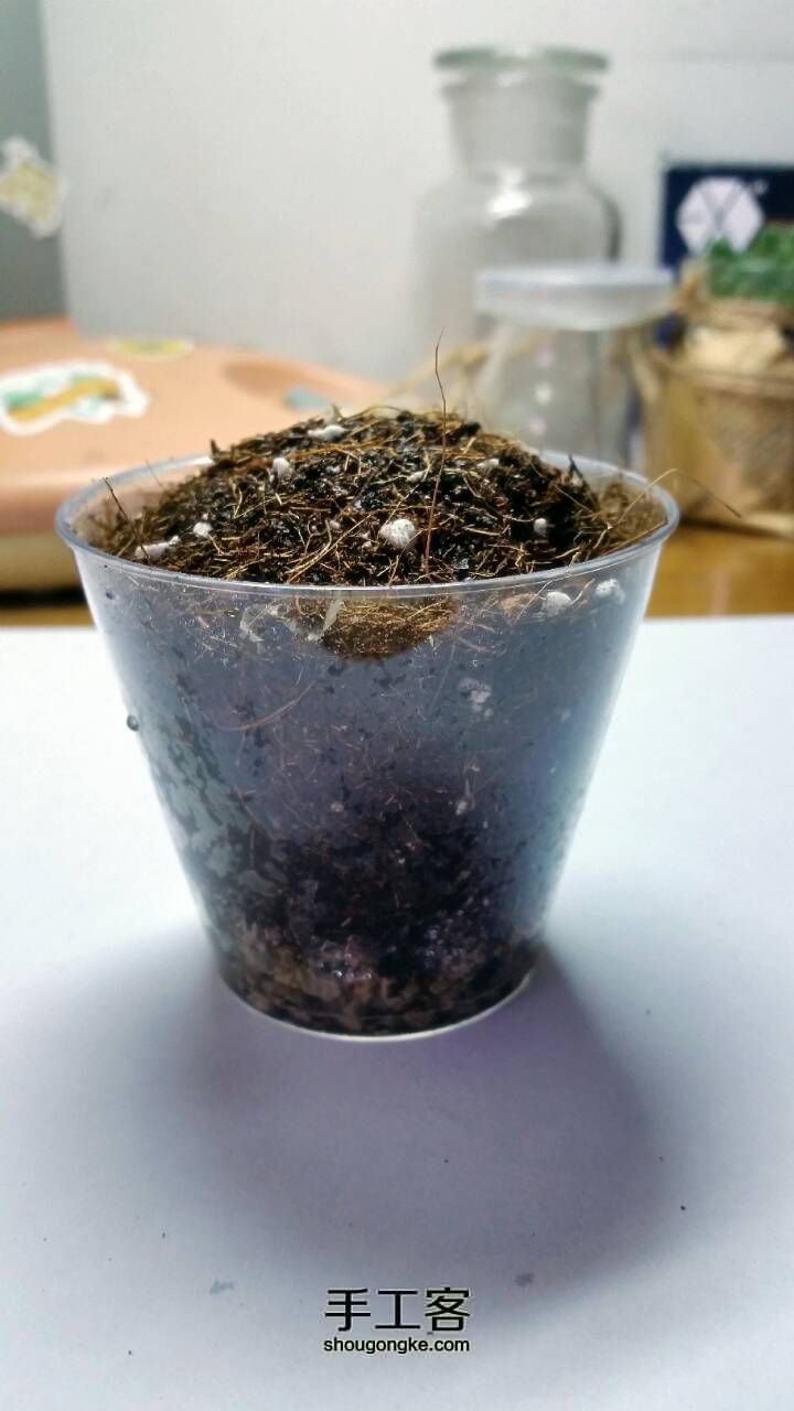旧物改造的苔藓小盆栽，萌萌哒的进化空气小能手哦~ 第4步