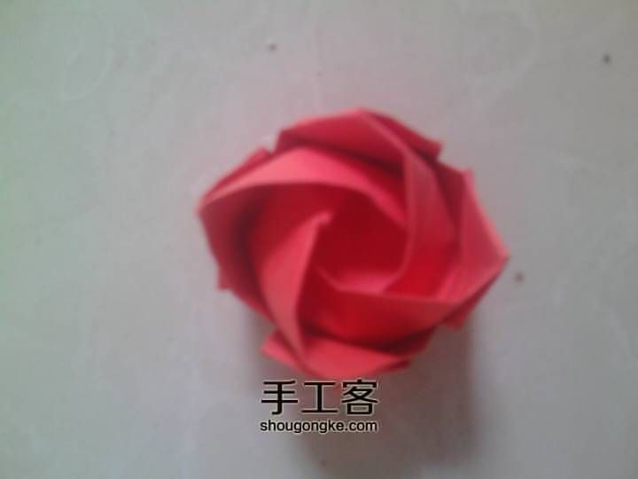 红玫瑰，川崎玫瑰， 第38步