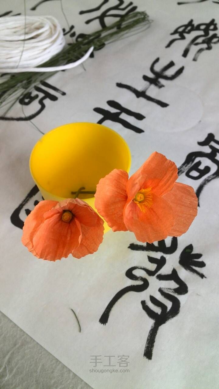 为了应聘线下手工老师我也是拼了之虞美人 第15步