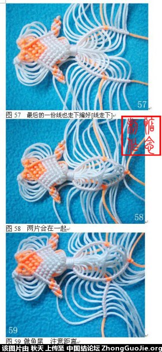 『转载』小金鱼 第25步