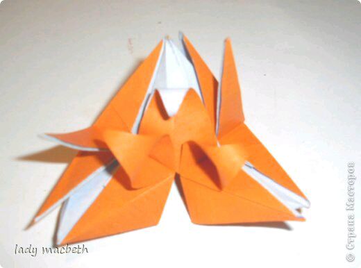 【折纸—花球】教程（三） 第14步