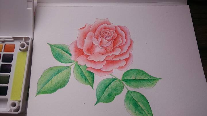 玫瑰花手绘 第8步