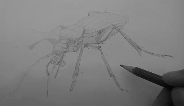 教你画一只小昆虫，练练手 第4步