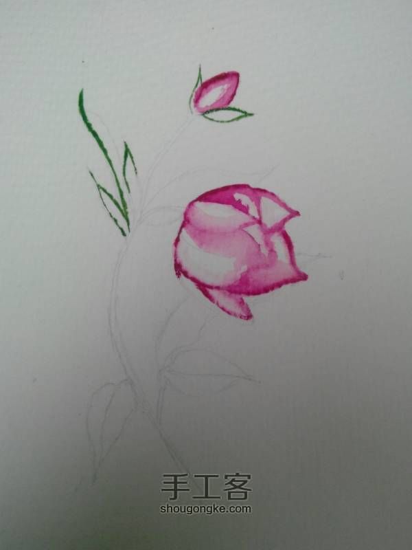 水彩手绘花朵 第2步