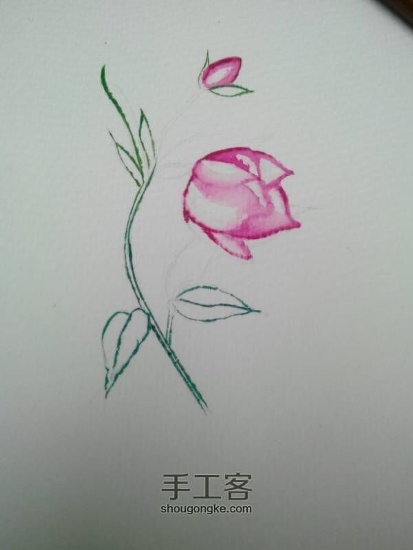 水彩手绘花朵 第3步