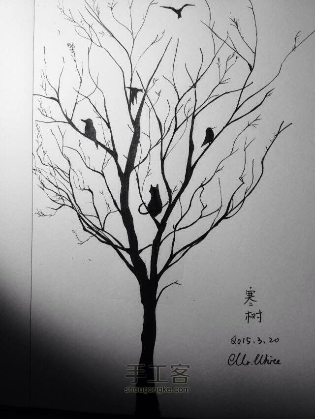 寒树 第12步