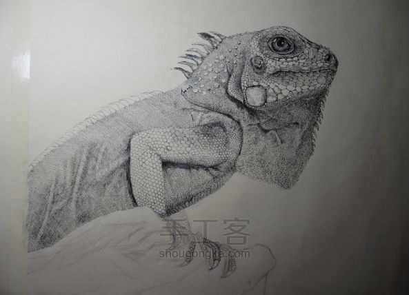 细腻钢笔画教程—蜥蜴 第5步