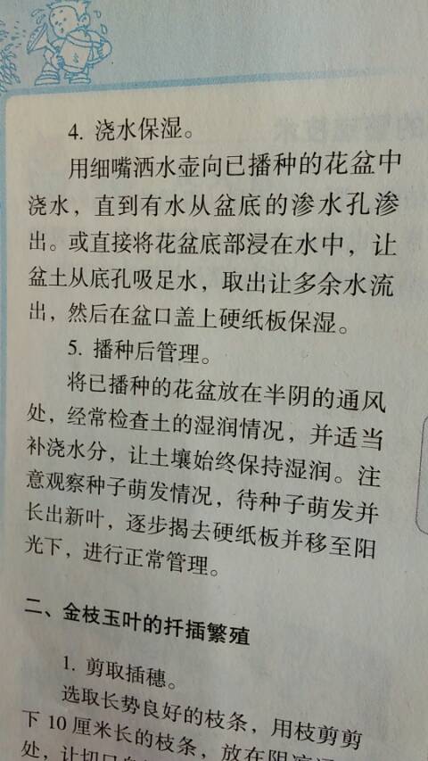 盆栽花卉的繁殖技术 第4步