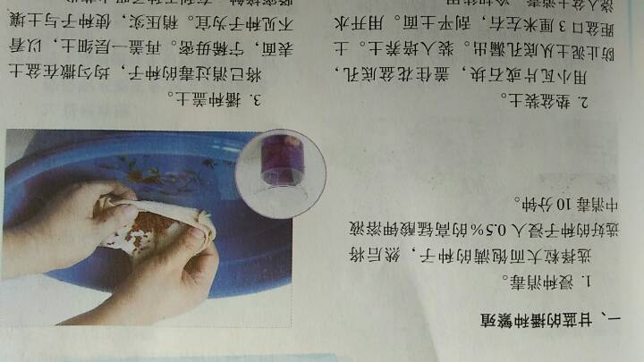 盆栽花卉的繁殖技术 第1步