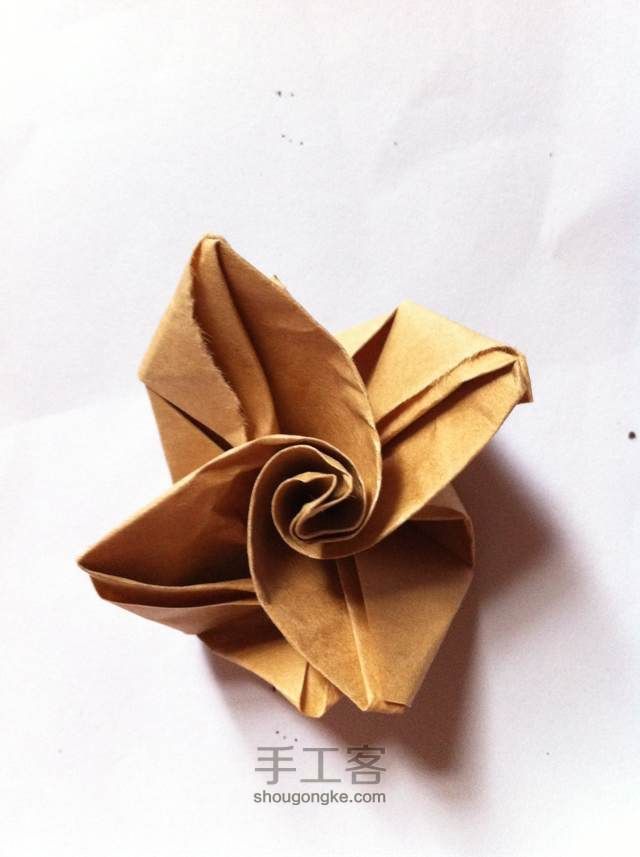 「折纸」最简单的玫瑰『1』 第15步