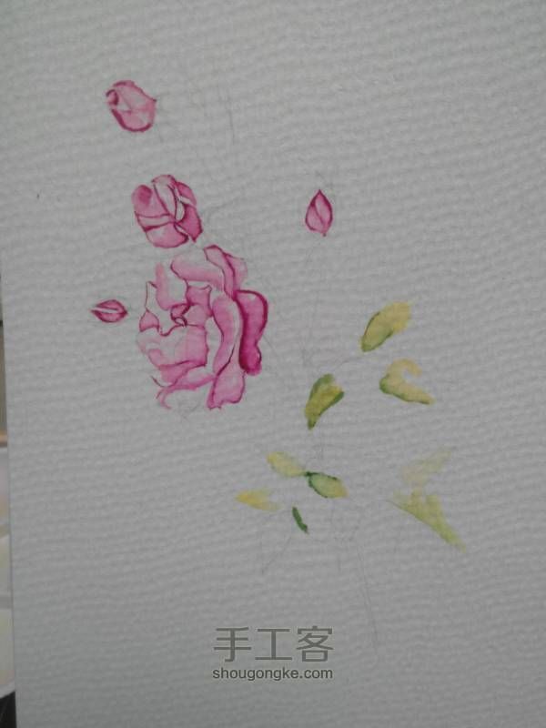 水彩手绘花朵 第7步
