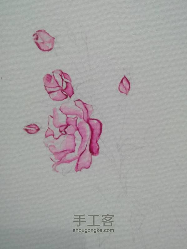 水彩手绘花朵 第6步