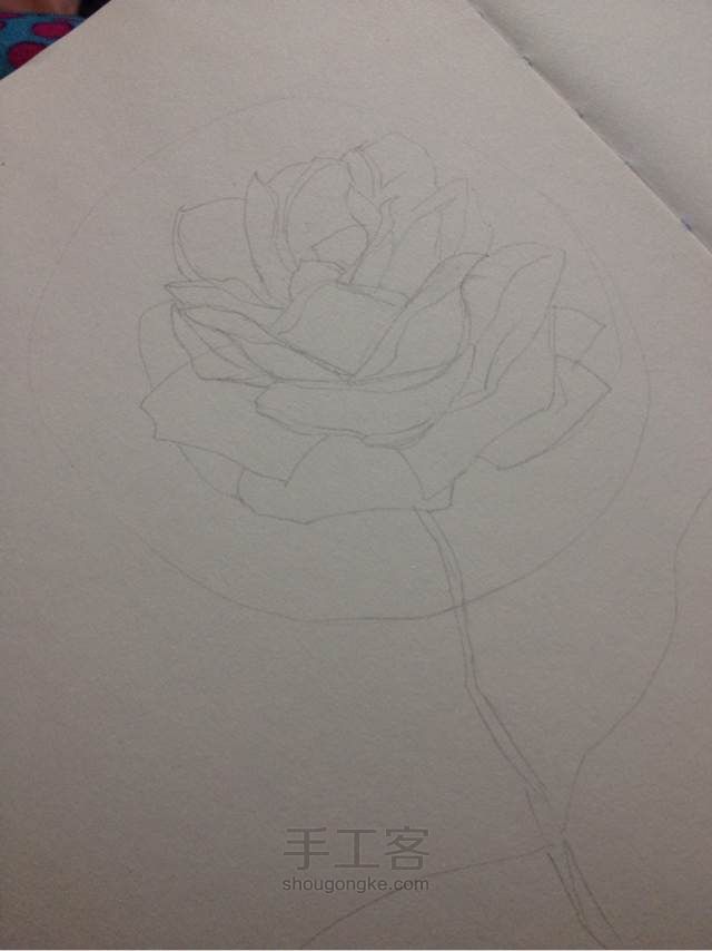 手绘蔷薇， 第1步