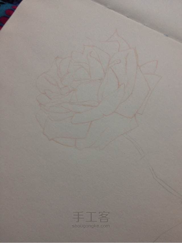 手绘蔷薇， 第2步