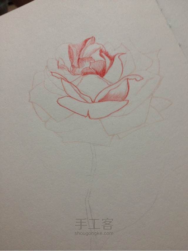 手绘蔷薇， 第4步