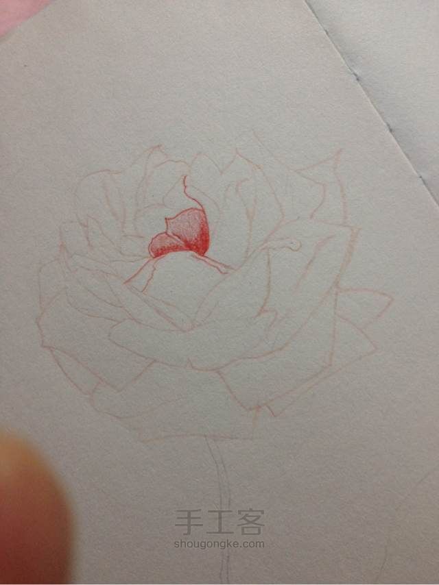手绘蔷薇， 第3步