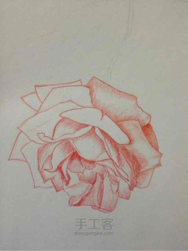手绘蔷薇， 第6步