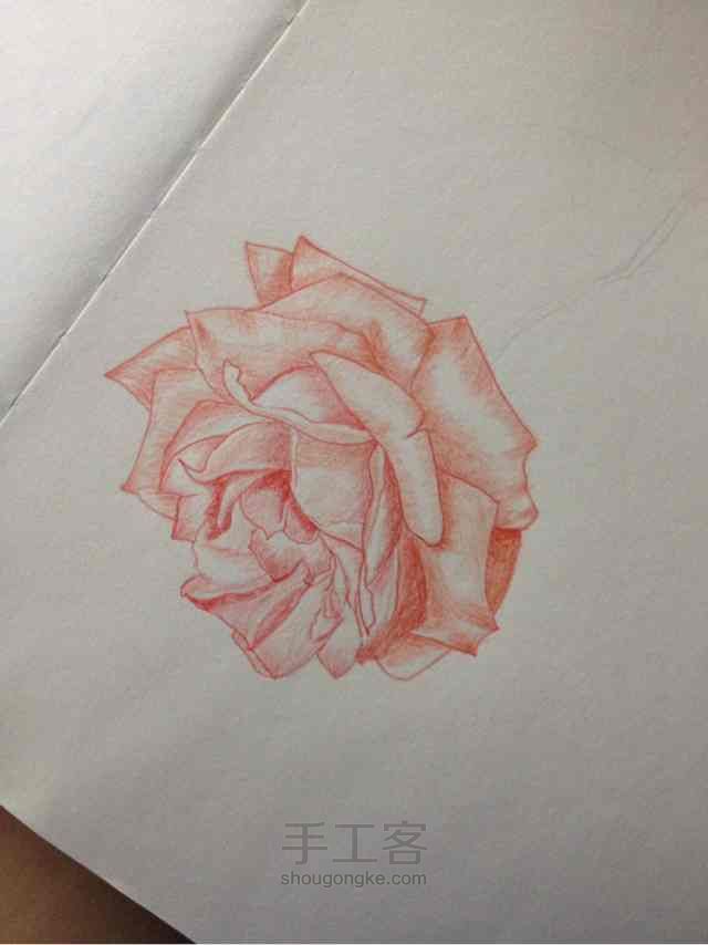 手绘蔷薇， 第8步