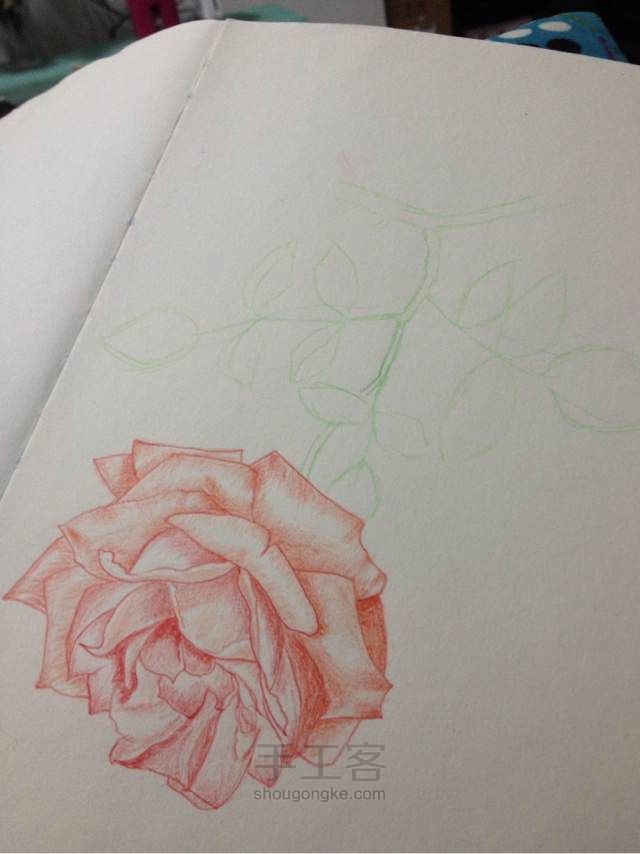 手绘蔷薇， 第9步