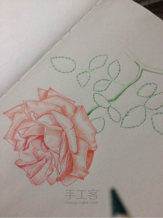 手绘蔷薇， 第10步