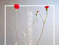 苔玉，一种由盆景(Bonsai)演变而来的古老日本艺术，始于日本的江户年代，就是将苔藓和泥沼做成球状，用来保持喜阴植物需要的湿度，替代花盆。