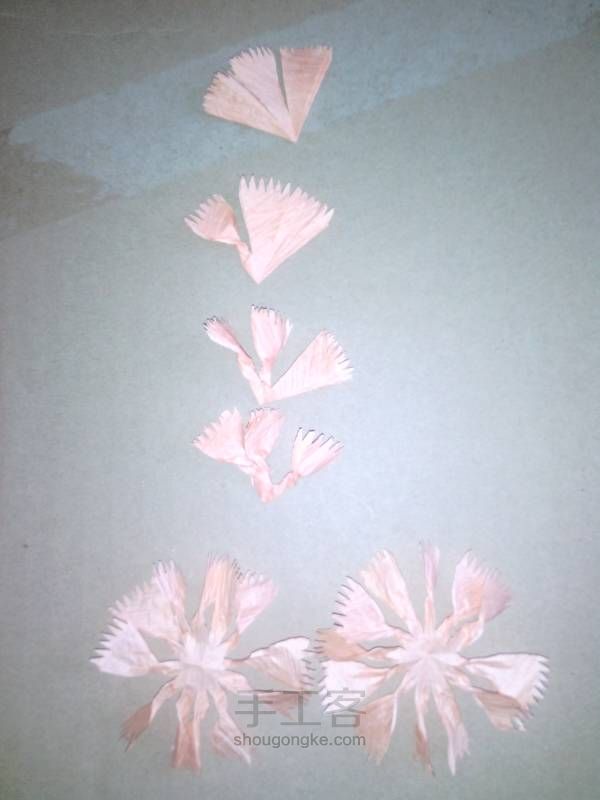 纸藤花－－康乃馨的超详细教程 第10步