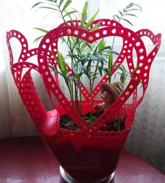 【转贴教程】洗衣液瓶子改花盆 第1步