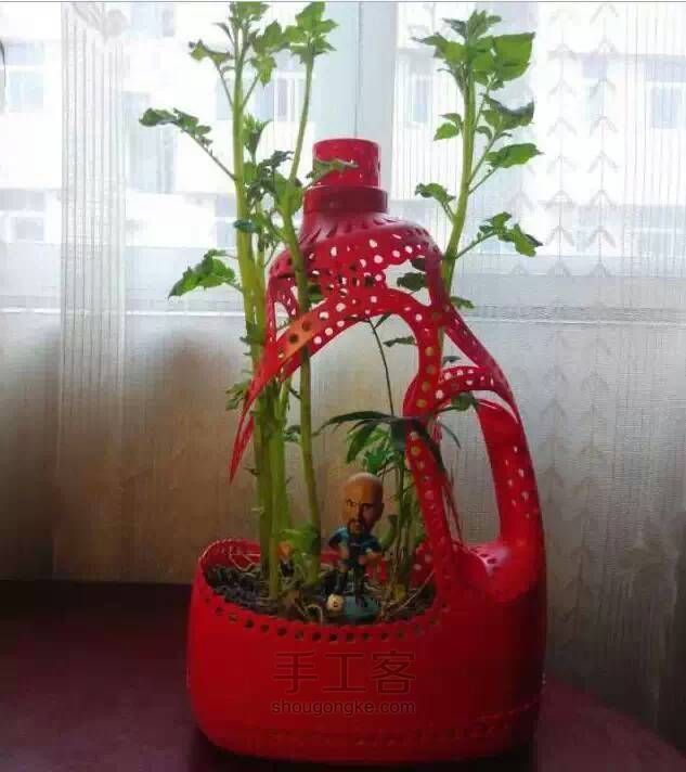 【转贴教程】洗衣液瓶子改花盆 第7步