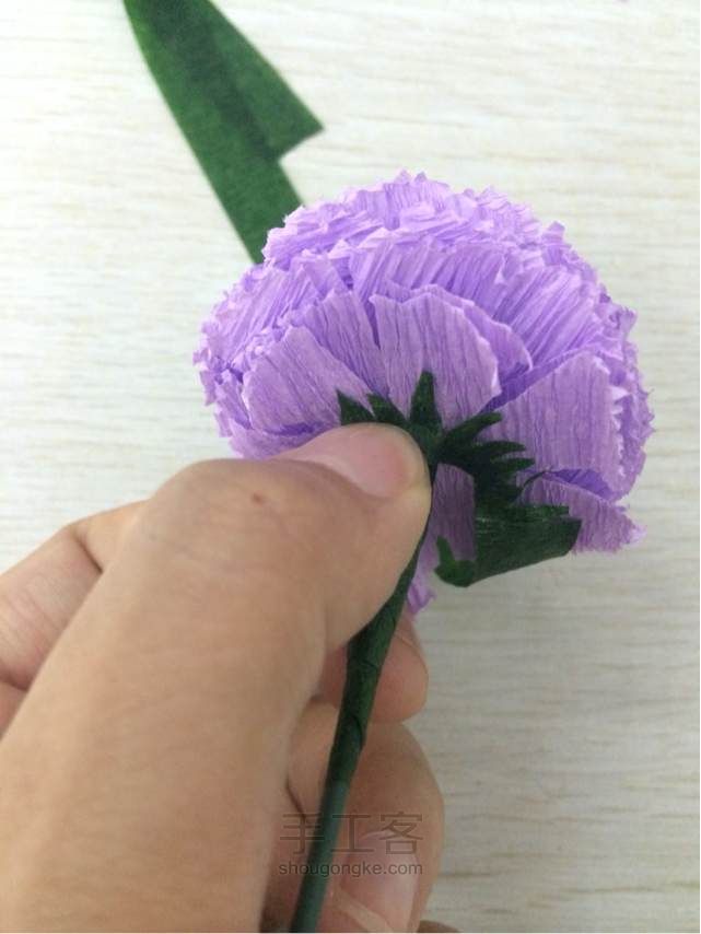 手工纸花—康乃馨～小兔菲菲飞 第14步