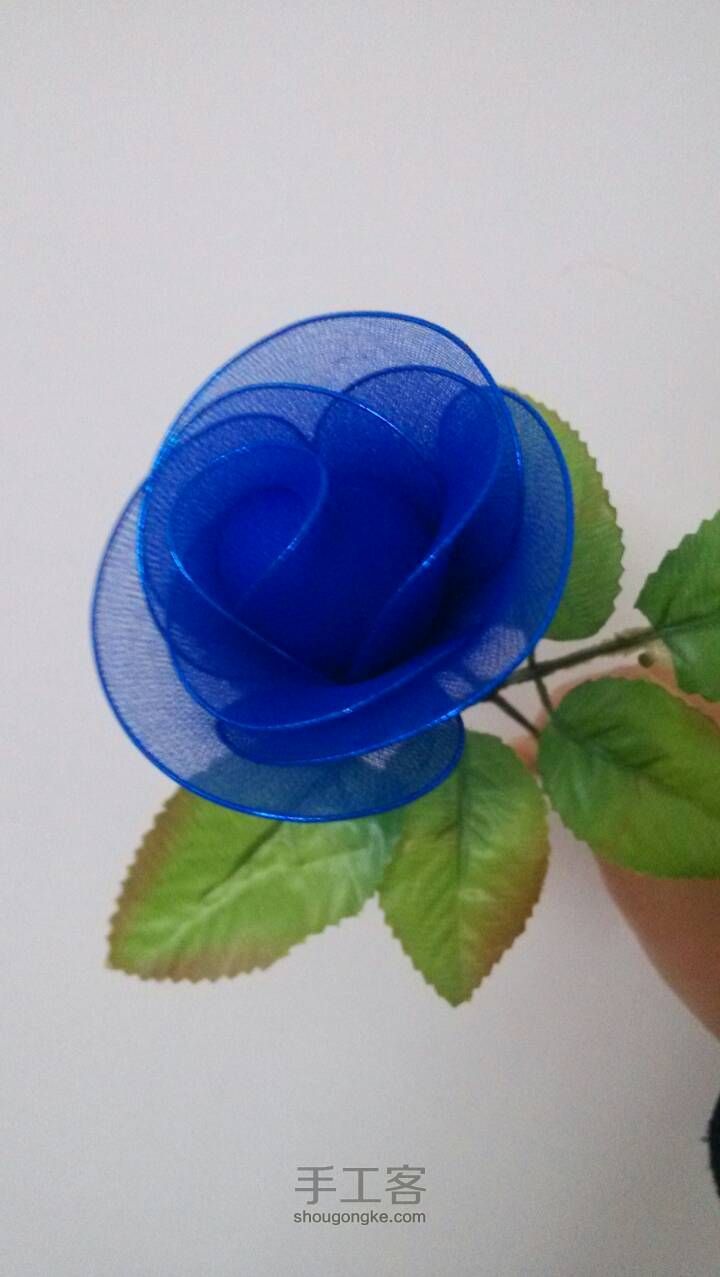 玫瑰花还是蓝色妖姬？ 第15步