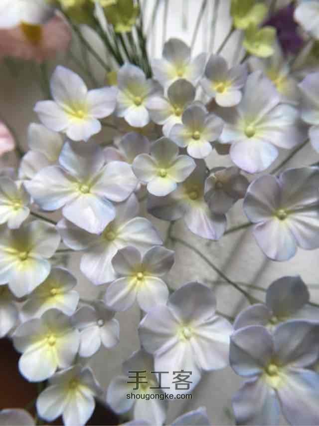 面包花卉—绣球花 第4步