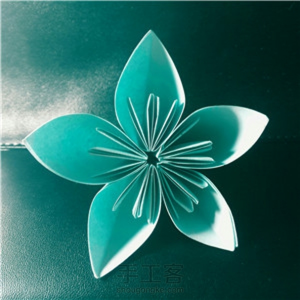 Rainbow家的樱花。前几天做的。