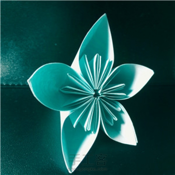 Rainbow家的樱花。前几天做的。 第1张