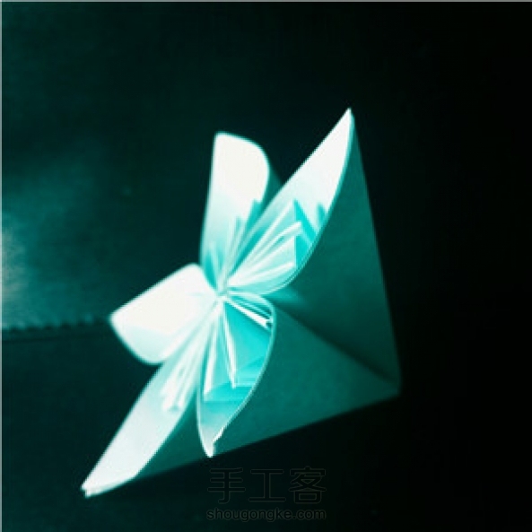 Rainbow家的樱花。前几天做的。 第2张