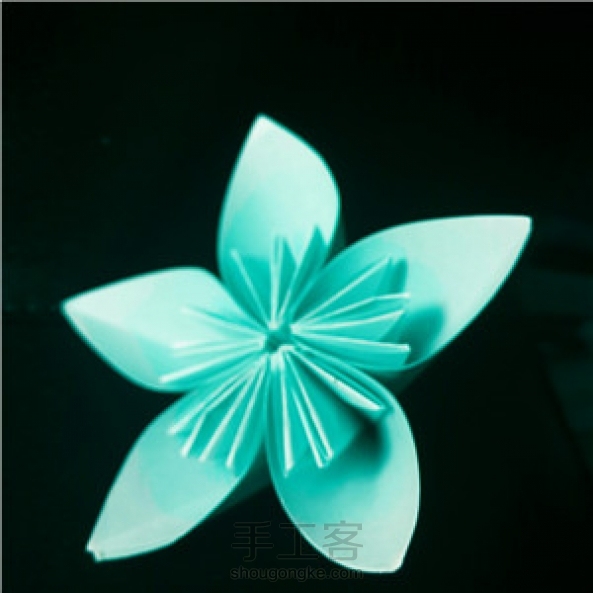 Rainbow家的樱花。前几天做的。 第3张