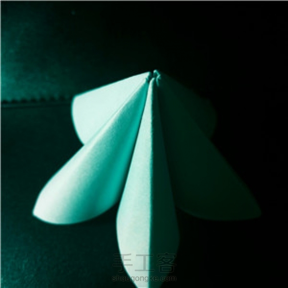 Rainbow家的樱花。前几天做的。 第4张