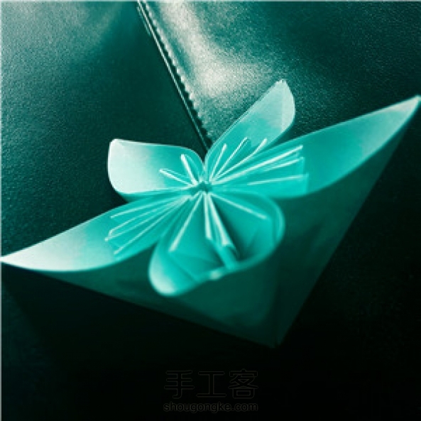 Rainbow家的樱花。前几天做的。 第5张