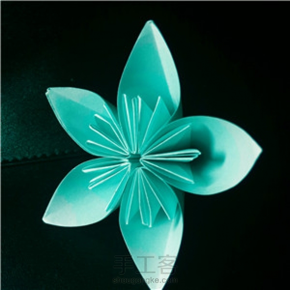 Rainbow家的樱花。前几天做的。 第6张