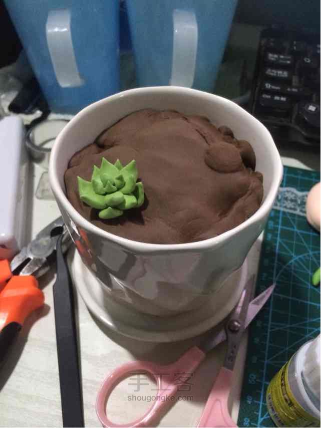 大盆粘土多肉植物袭来 第6步