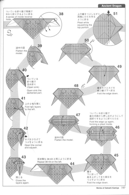 古代龙 第5步