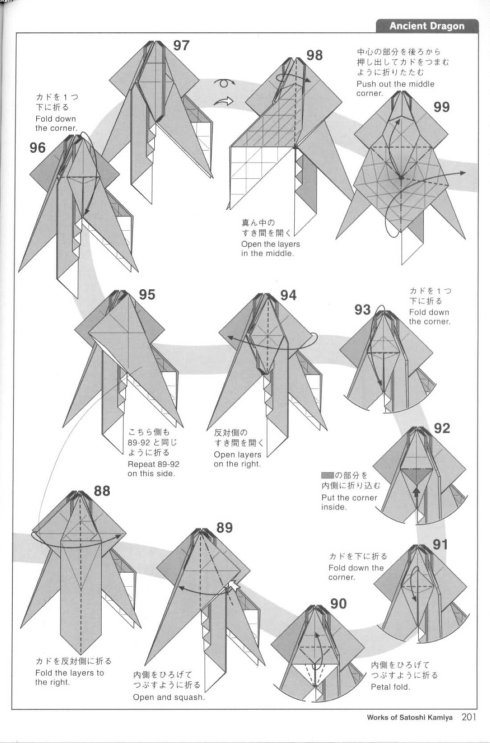 古代龙 第9步