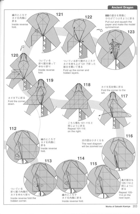 古代龙 第11步