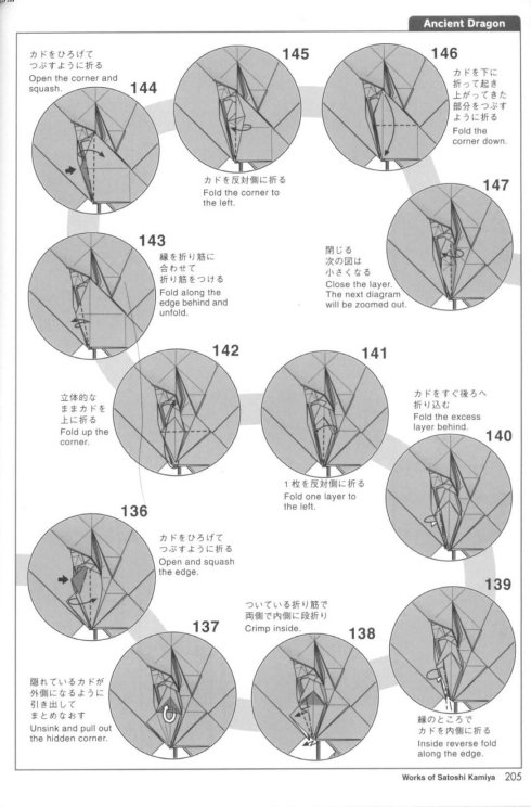 古代龙 第13步