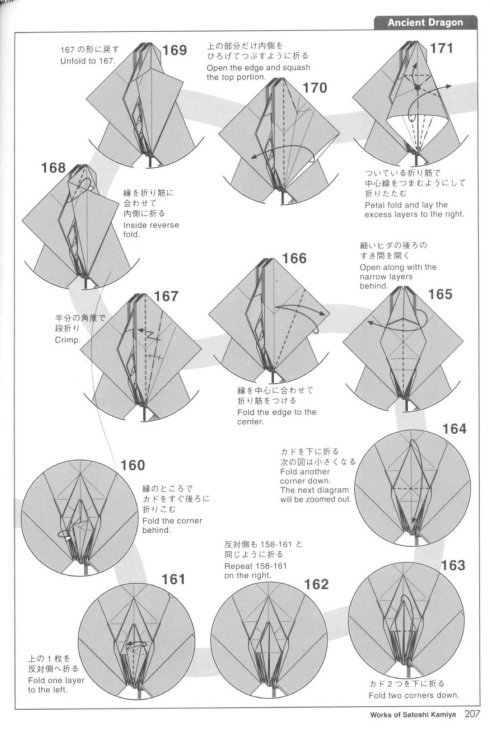 古代龙 第15步