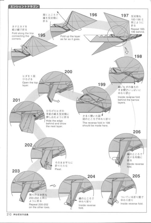 古代龙 第19步