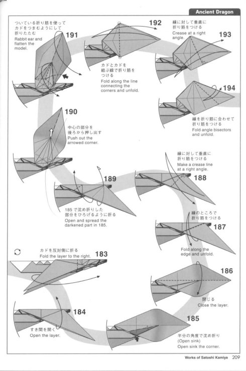 古代龙 第18步