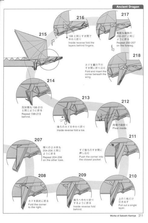 古代龙 第20步