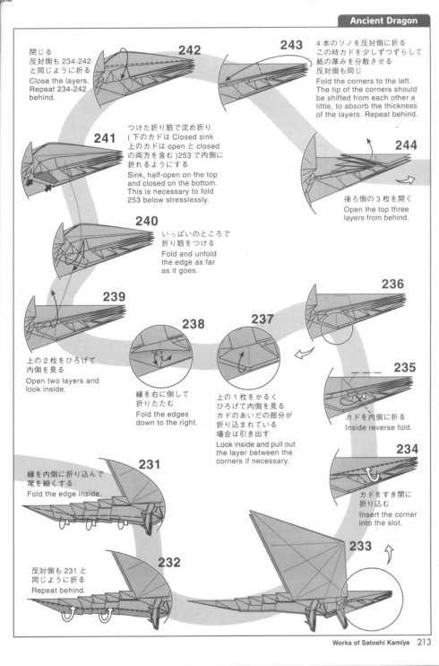 古代龙 第22步